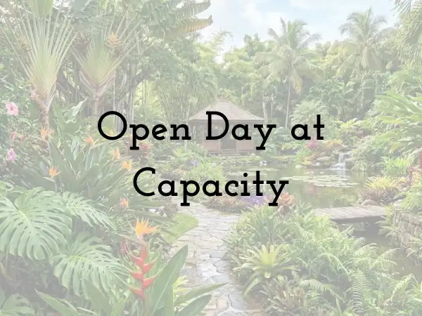 Sunday, June 28 Open Day at Michael A. Katz, Session 2