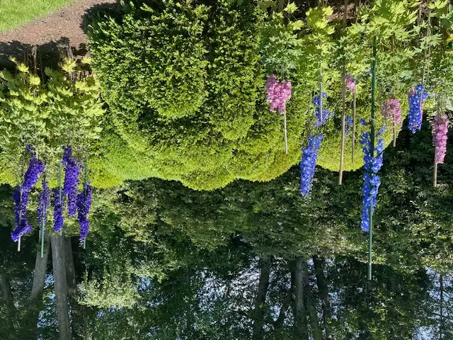 Saturday, June 20 Open Day at Isabel and Winston Fowlkes