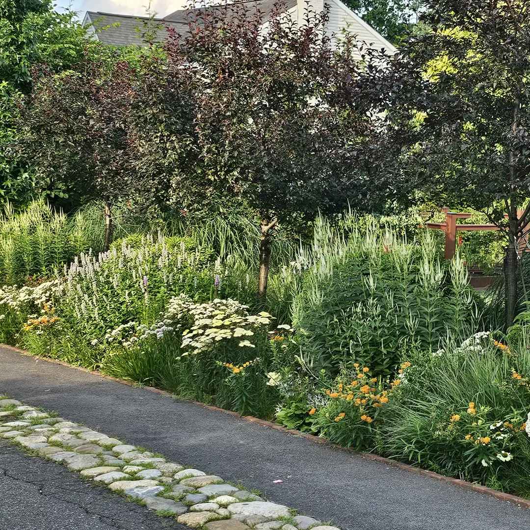 Saturday, June 27 Open Day at Beau Jardin