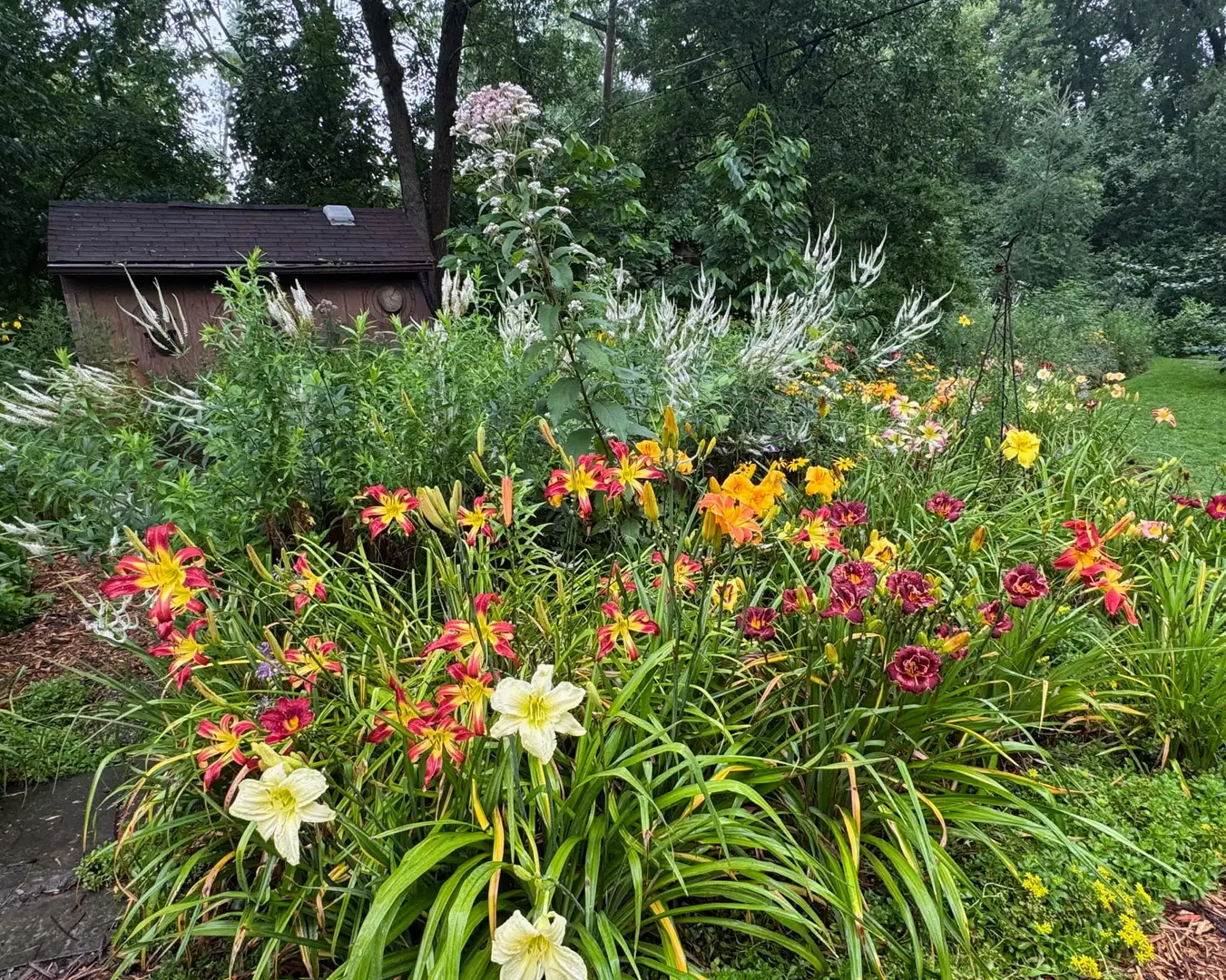 Saturday, July 25 Open Day at Anglewood Acre