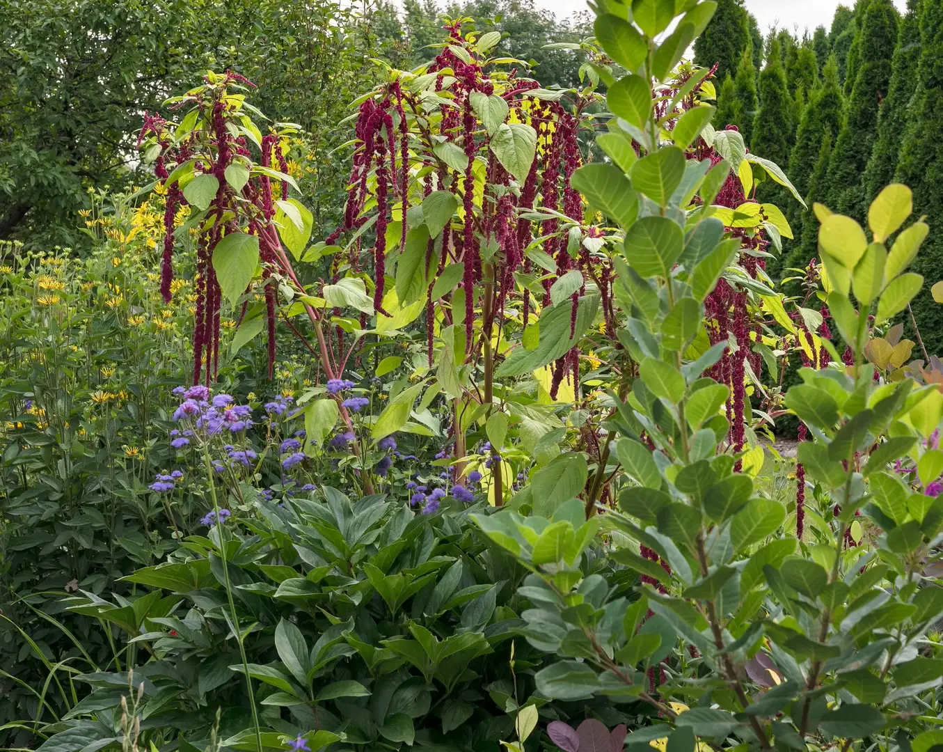 Sunday, July 26 Open Day at C's on Calhoun