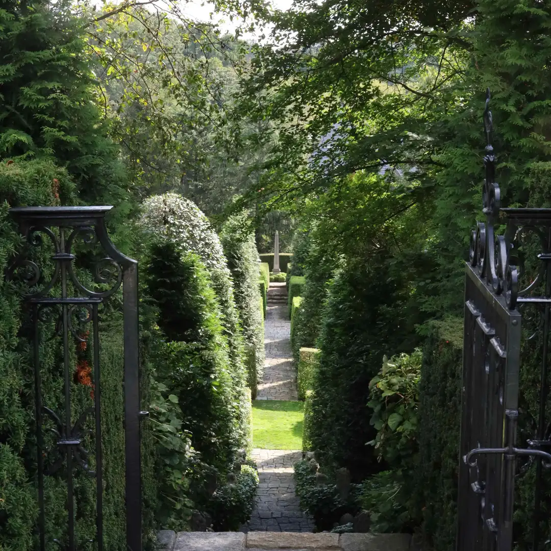 Sunday, June 7 Open Day at Sleepy Cat Farm - Session 3: 2pm–4pm