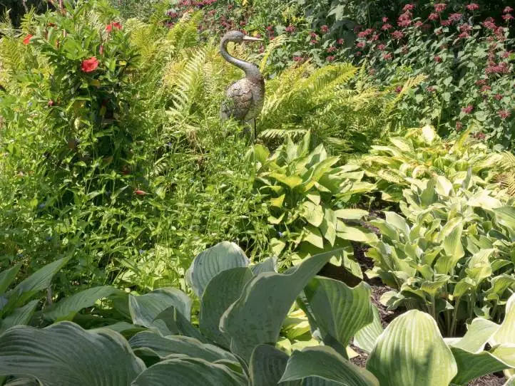 Saturday, July 25 - Digging Deeper: Tips for Perennial Gardens