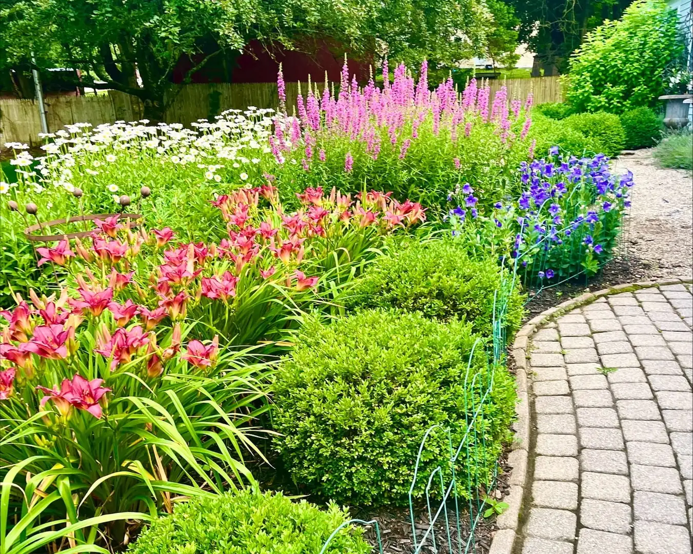Saturday, July 18 Open Day at Lori's Cottage Garden