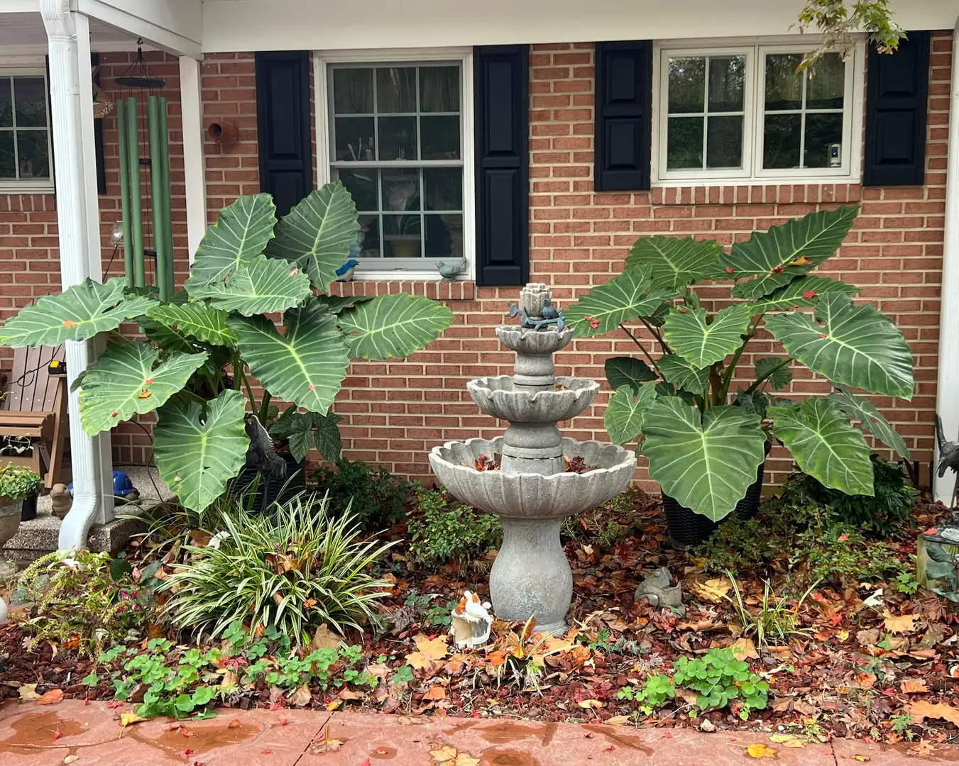 Saturday, May 16 Open Day at Garden by the River