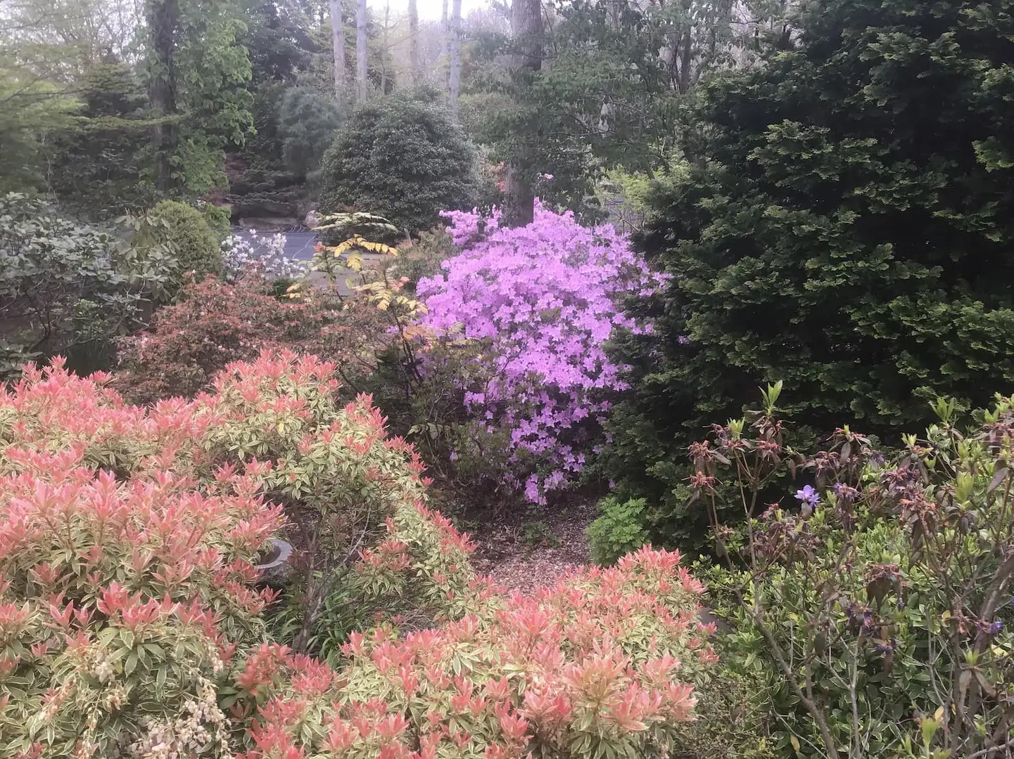 Saturday, May 9 Open Day at Biercuk and Luckey Garden