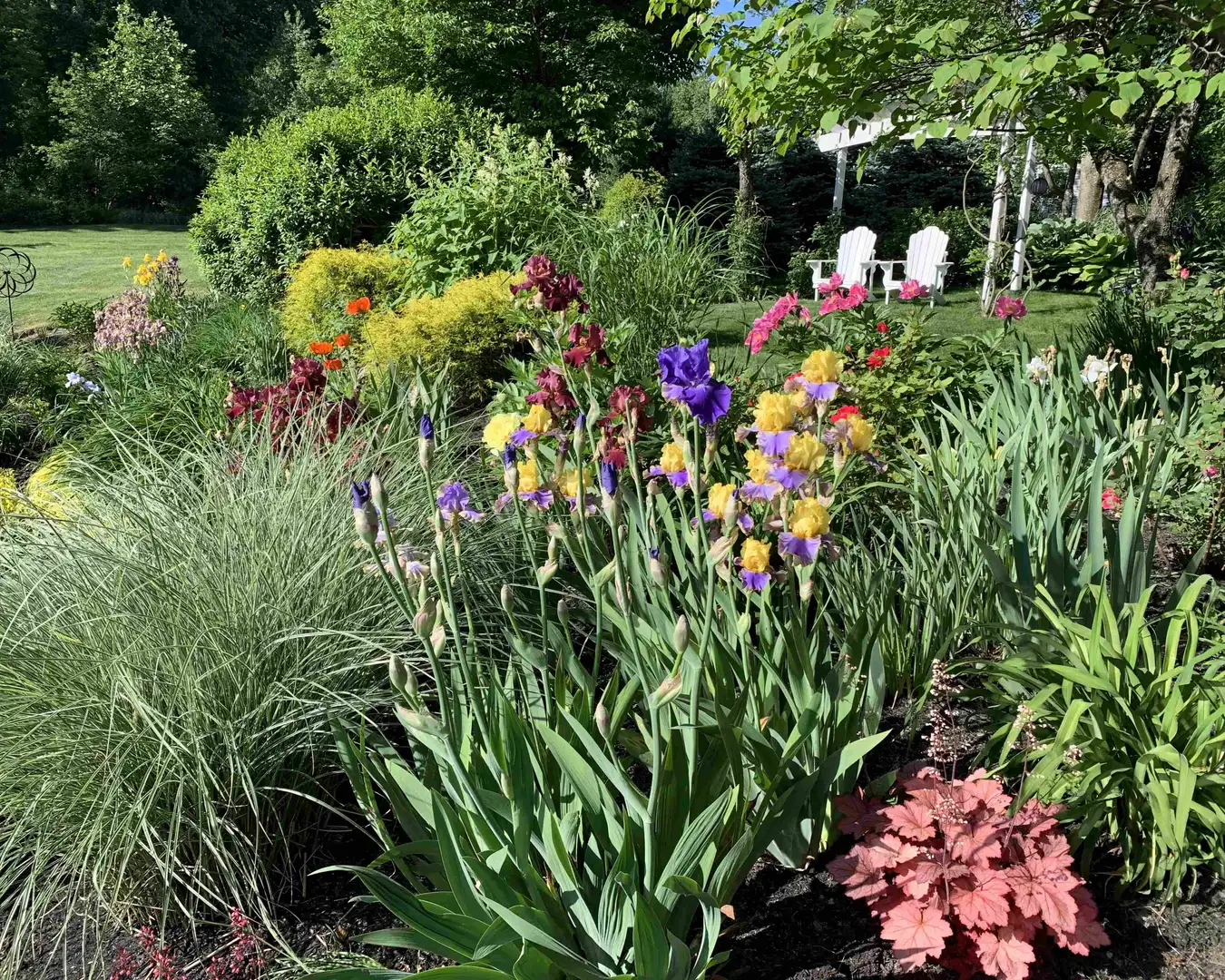 Saturday, July 18 Open Day at Longview Gardens