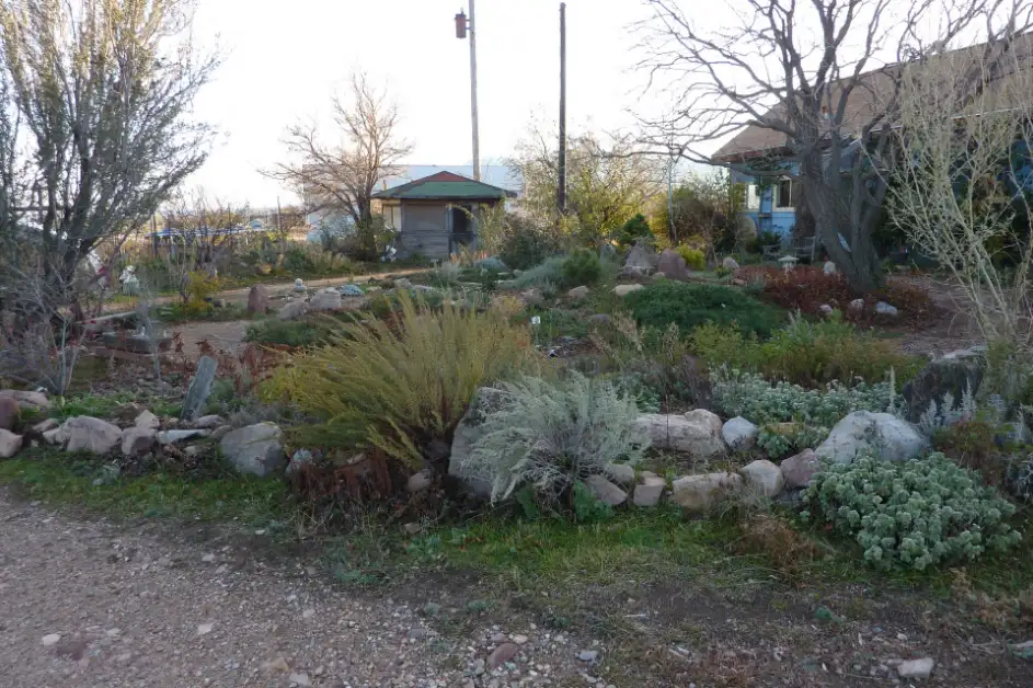 Saturday, June 20  Digging Deeper: Natives and Pollinators for a Dry Western Garden