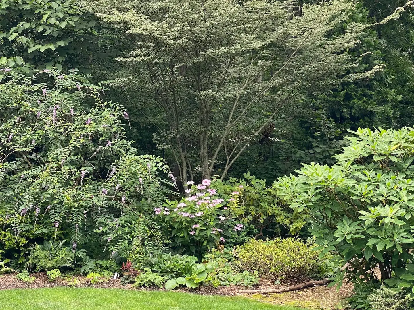 Saturday, May 9 Open Day at Glade Garden—Abby Jane Brody