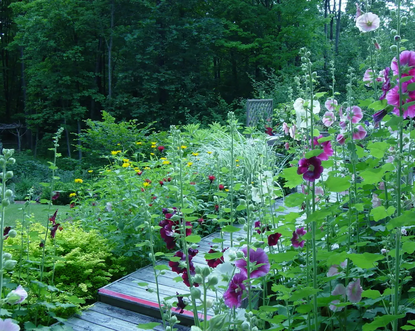 Sunday, July 19th Open Day at Platt Garden