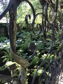 Saturday, July 18 Open Day at The Coolidge's Garden
