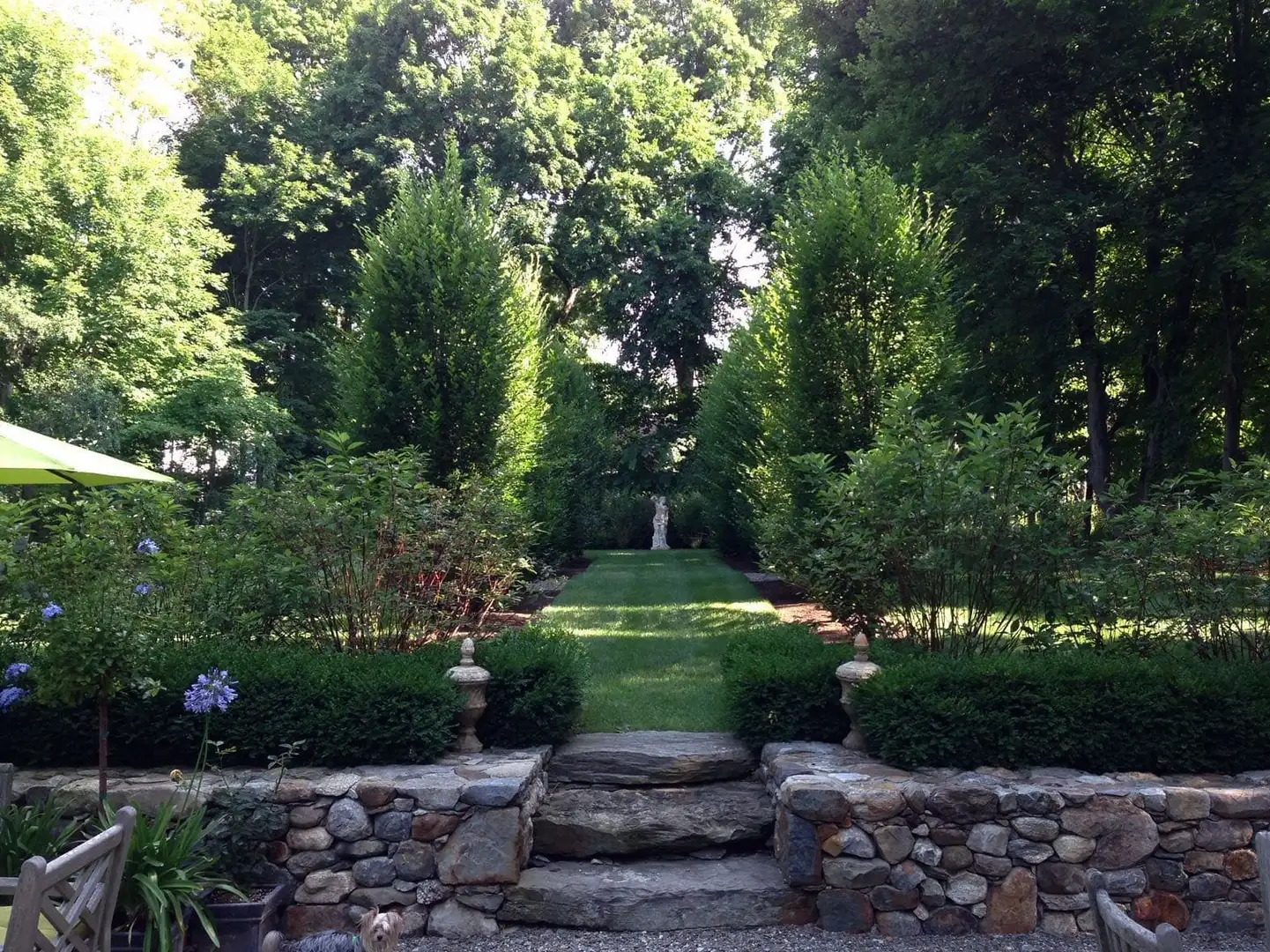 Sunday, June 8 Open Day at Squirrel Hall